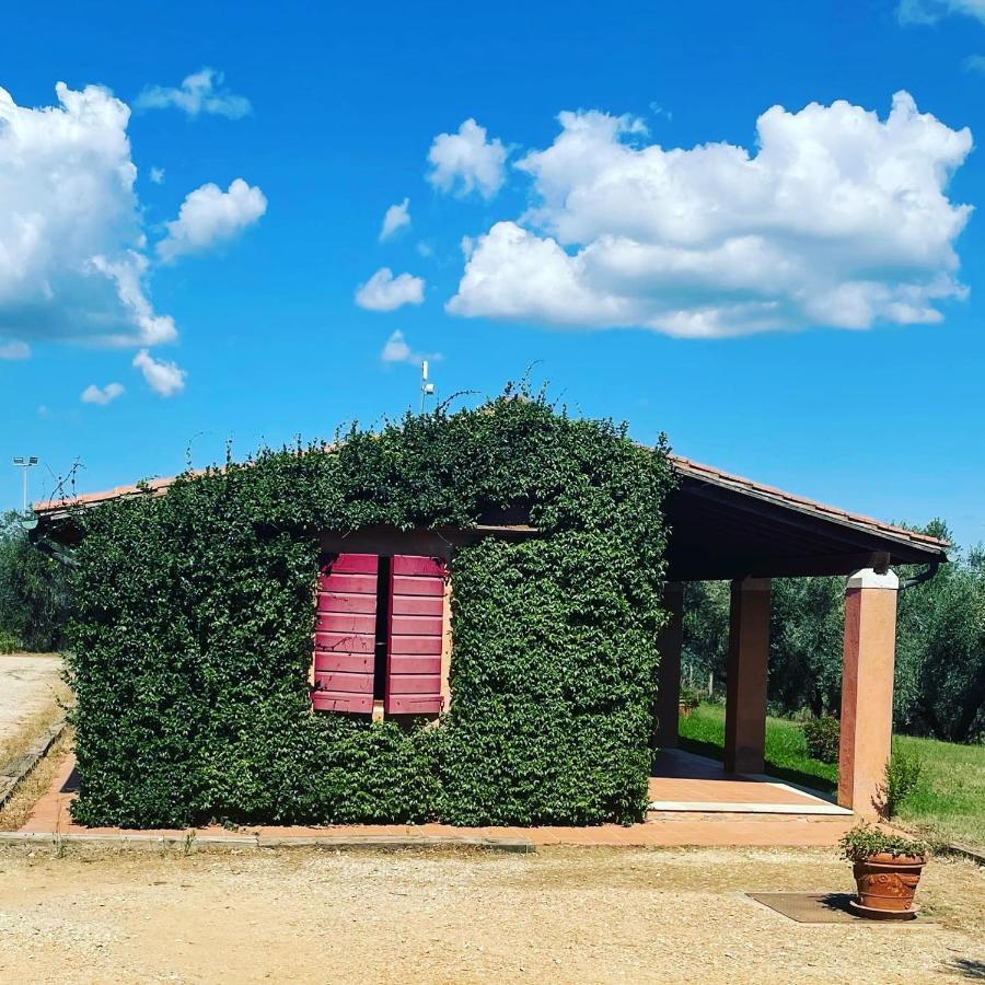 Tenuta Agricola Fraschiera Villa Massa Marittima Luaran gambar