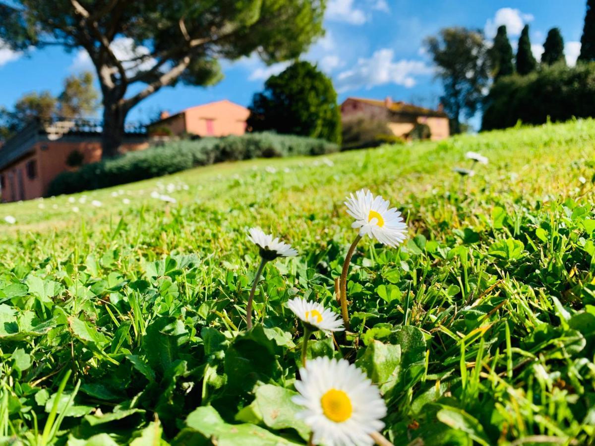 Tenuta Agricola Fraschiera Villa Massa Marittima Luaran gambar