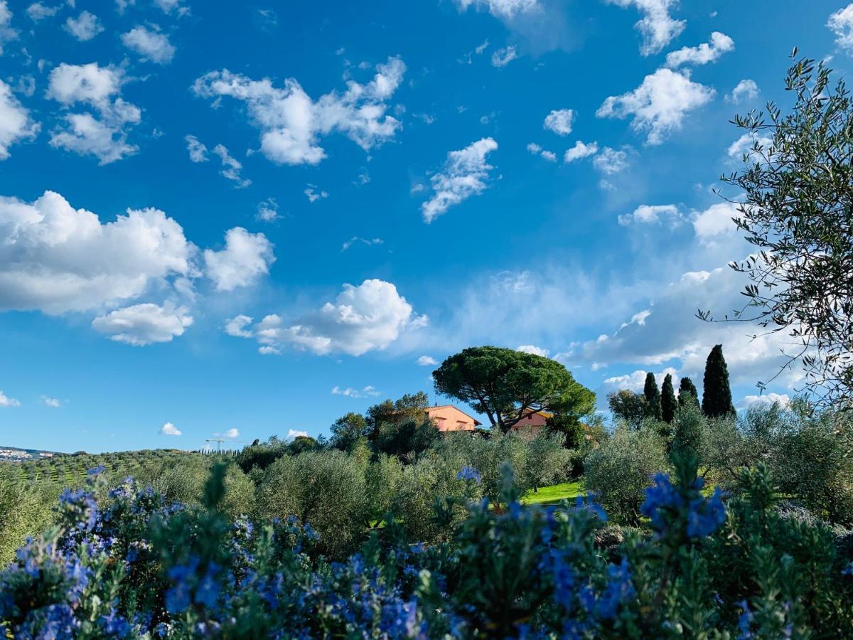 Tenuta Agricola Fraschiera Villa Massa Marittima Luaran gambar