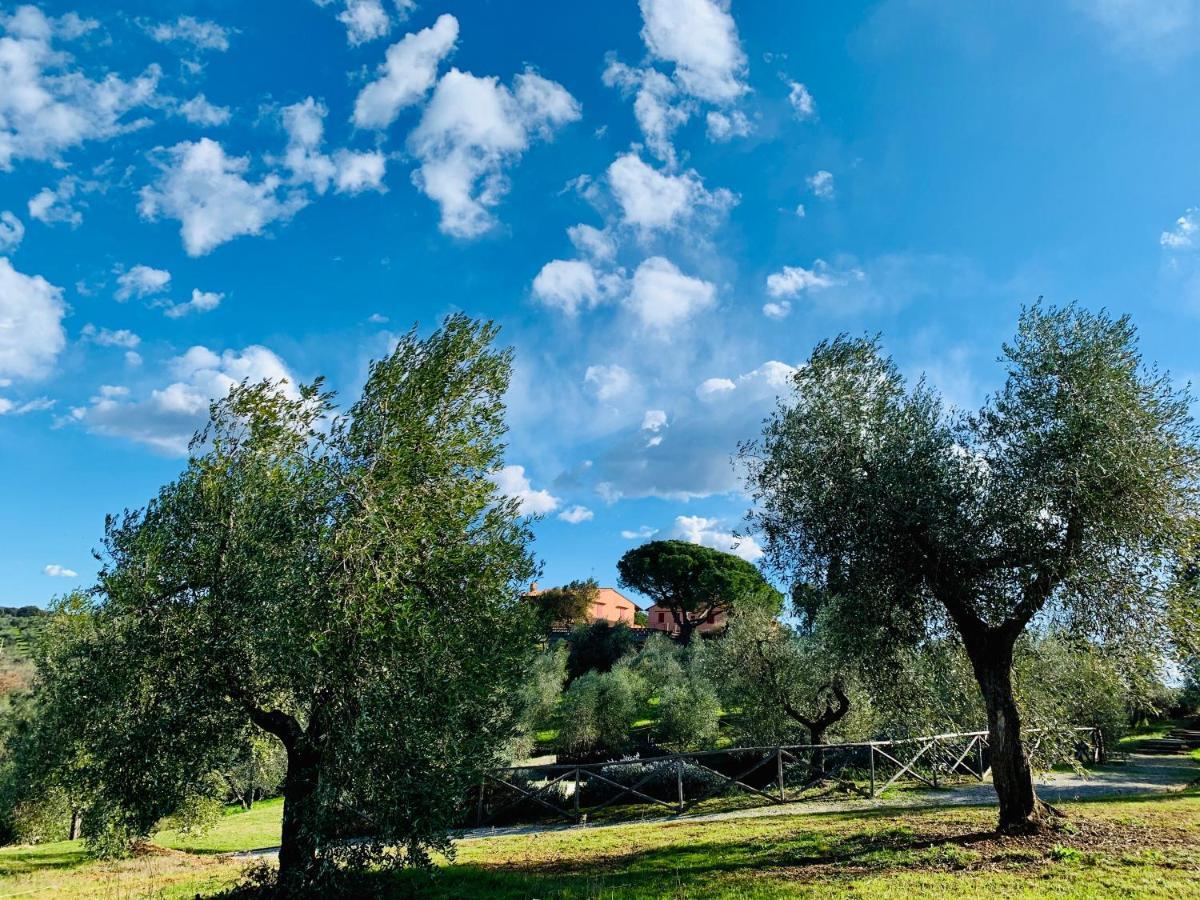 Tenuta Agricola Fraschiera Villa Massa Marittima Luaran gambar
