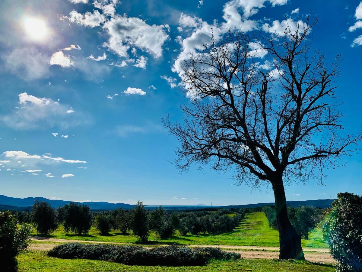 Tenuta Agricola Fraschiera Villa Massa Marittima Luaran gambar