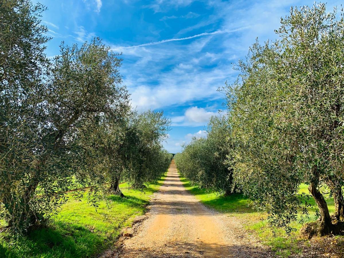 Tenuta Agricola Fraschiera Villa Massa Marittima Luaran gambar