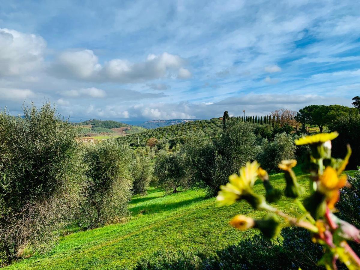 Tenuta Agricola Fraschiera Villa Massa Marittima Luaran gambar