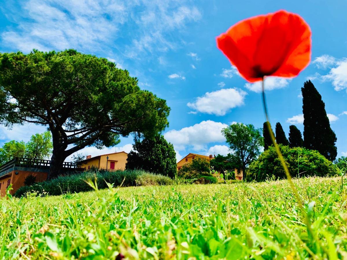 Tenuta Agricola Fraschiera Villa Massa Marittima Luaran gambar