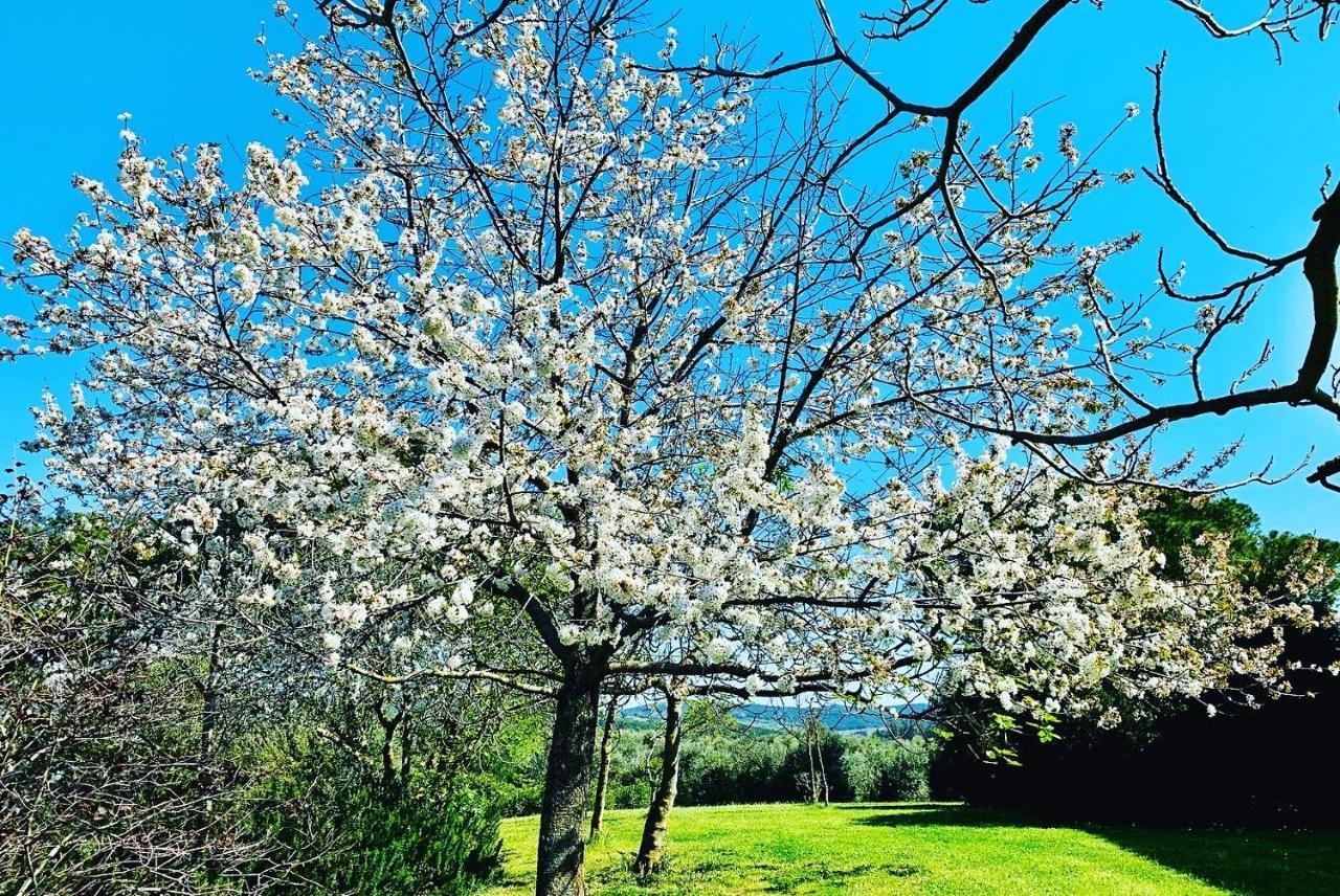 Tenuta Agricola Fraschiera Villa Massa Marittima Luaran gambar