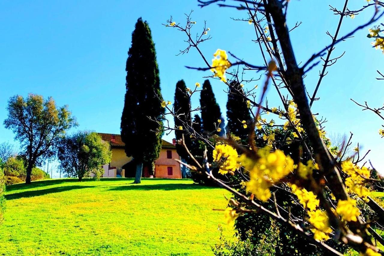 Tenuta Agricola Fraschiera Villa Massa Marittima Luaran gambar